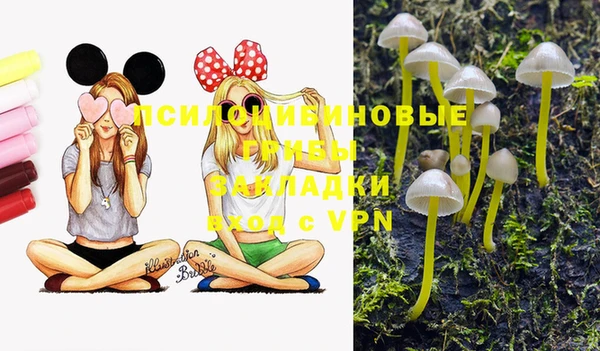 прущая мука Алексеевка