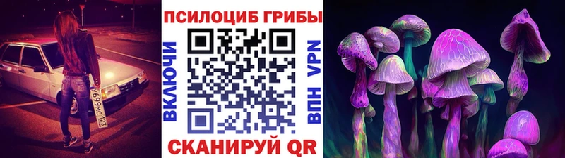 Псилоцибиновые грибы мухоморы  Звенигово 
